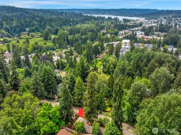 The perfect Northwest setting where location is key. This photo captures the home's incredible proximity to everything you need—situated just minutes from downtown Kenmore amenities, parks, and commuter routes, all with Lake Washington gleaming on the horizon.