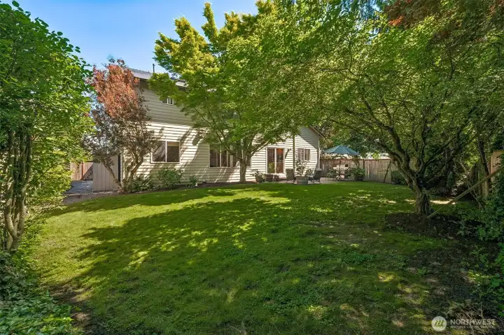 Large back yard but not too big that it's difficult to maintain.