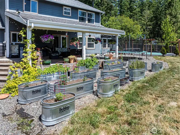 Raised garden beds with plenty of room for more.