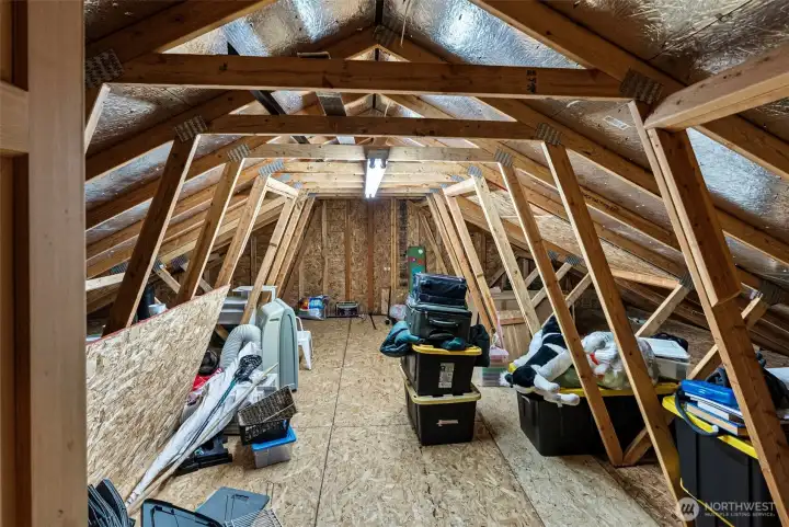 Hidden room with plenty of storage or turn it into a speak easy vibe.