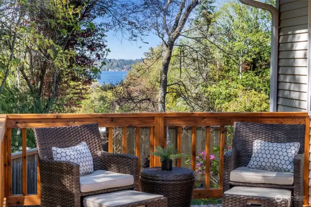 Imagine relaxing on your back deck with this beautiful natural landscape and VIEW OF LAKE STEVENS!