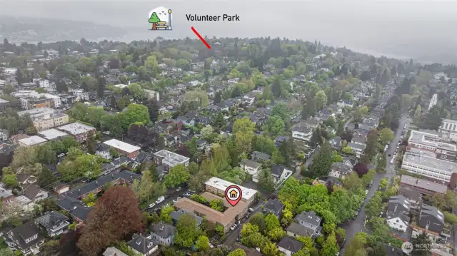 Convenient North Capitol Hill location close to Volunteer Park and all the action on 15th and 19th Avenues