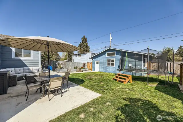 Back Yard