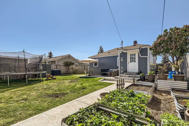 Back Yard