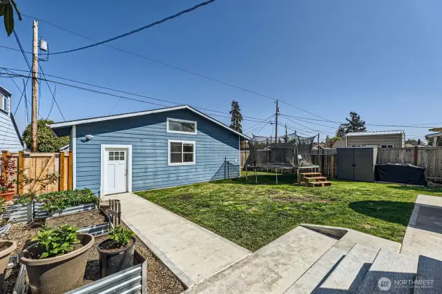 Back Yard