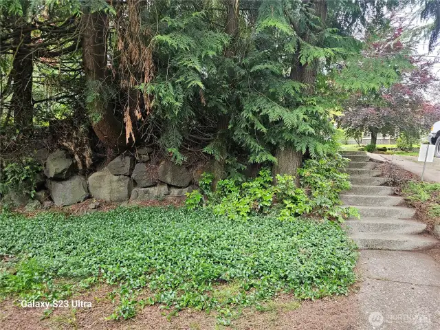 Front yard landscape