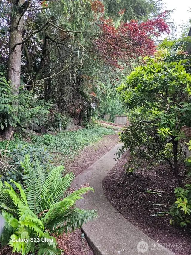 Front landscape sidewalk