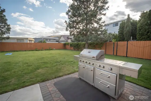 Barbeque  area and side yard.