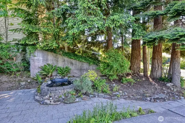 Koi pond. Not currently occupied, but ready to go.