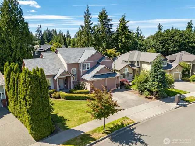 Gorgeous NW Contemporary in highly desired Cascade Highlands community.