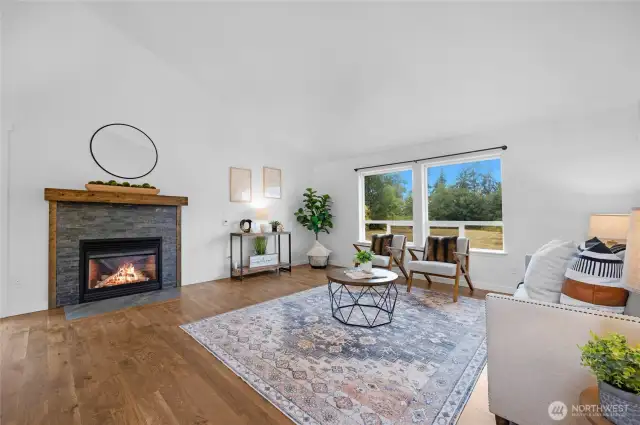 Propane fireplace - Tons of light