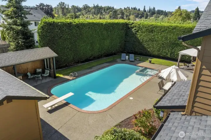 Look at that perfectly maintained privacy hedge!