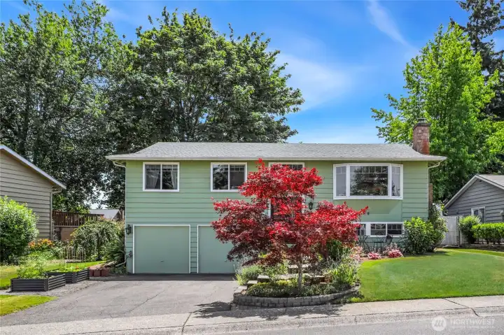 Mature landscaping with Mature Red Maple Tree, 60+ Tulip bulbs, 60+ Daffodil bulbs, Dwarf Blueberry, Rose of Sharon, Hydrangea, Snowball Bush, Strawberry Parfait, Weeping Flowering Cherry, Dwarf Japanese Lilac, and so much more…  2 raised garden beds to left of driveway – ready for planting  Water fountain feature / Secure mail box