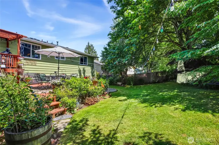 Mature landscaping with decorative grape vine, Hosta’s, Raspberry, limited production Cherry Tree, Maple Tree, White Lilac, Fig tree, Katsura Tree, Magnolia Tree and so much more…