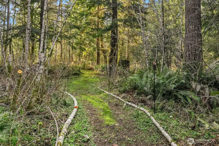 Trails through the north end of the property lead to a cleared are perfect for tent camping for those who don't want to go too far.
