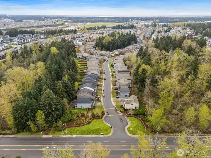Gated community of Emerald Pointe.