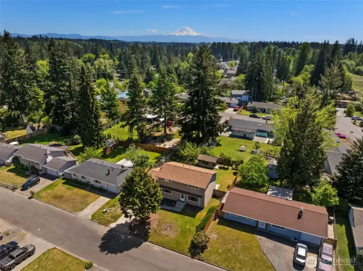 Mt. Rainier in the distance.