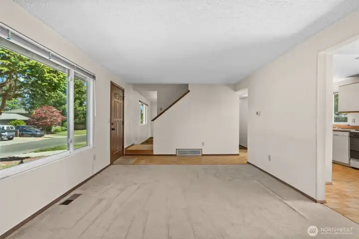 Open living room with tons of light.