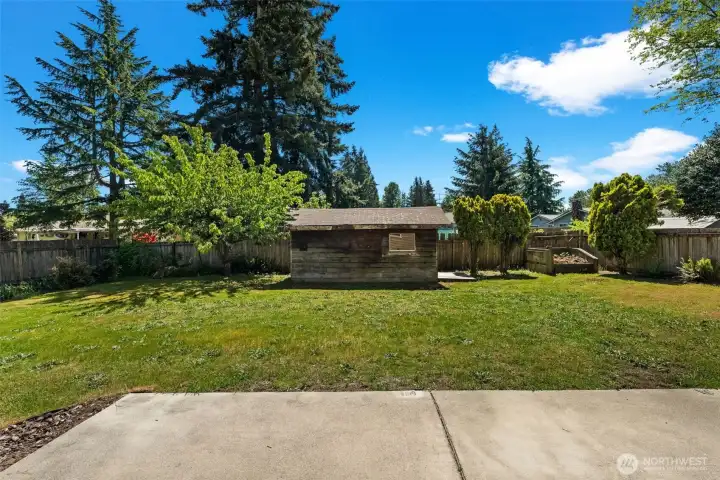 Lots of yard to garden, play, or hang out.