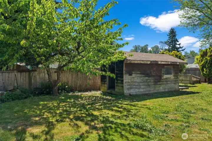 Cute backyard shed under the trees.