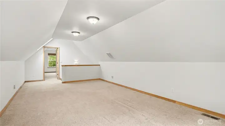 Another view of this large bonus room.