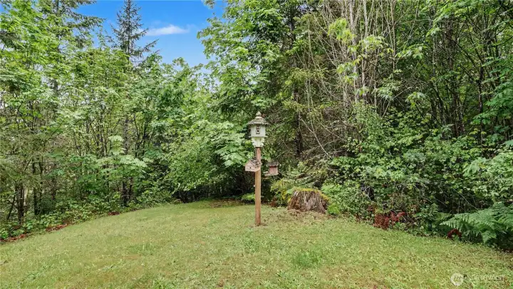 Serene setting surrounded by mature greenery and towering trees.