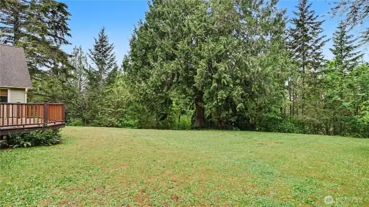 Enjoy a large open grassy area perfect for play, relaxation, or outdoor activities.