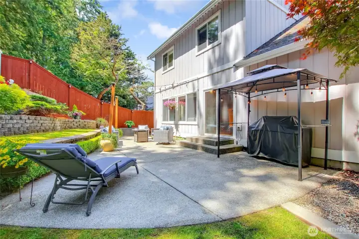 Expansive Concrete Patio