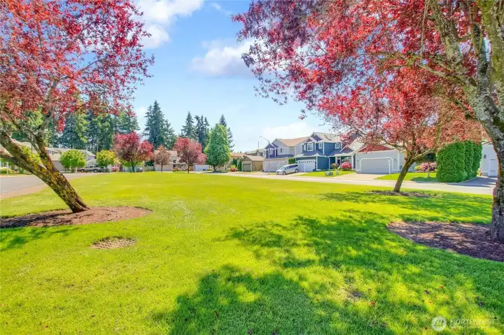 Private Grass Area - Perfect for Walking Pets, Letting Kids Play, Relaxing or Having Community Gatherings