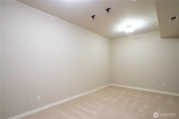 Flex space for Office/Gym/Shop or Theater