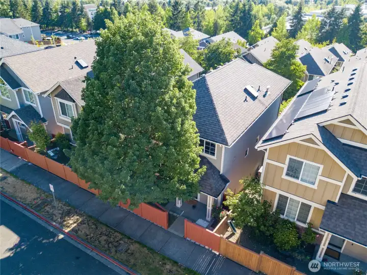 Drone view2