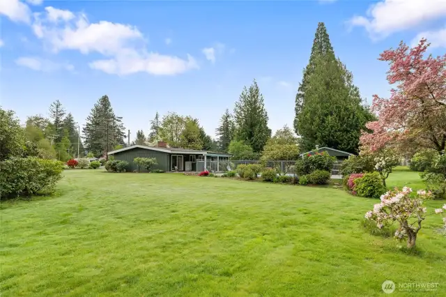 Beautiful, Large, Level Yard