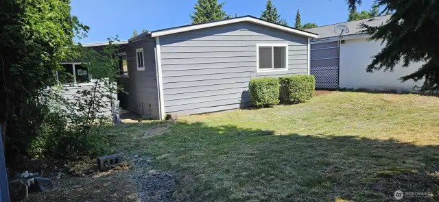 Backyard looking Northeast