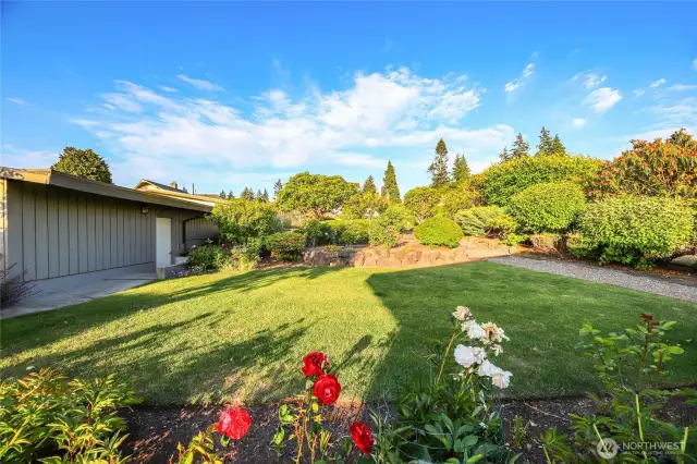 Another view of the back yard and the detached garage.