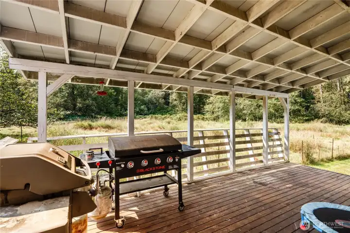 Covererd deck off the Family room,needing repairs