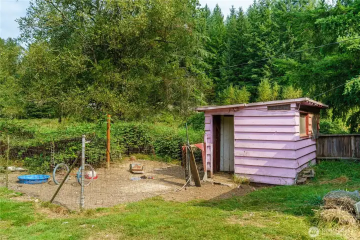 Chicken coop with chicken making those farm fresh eggs