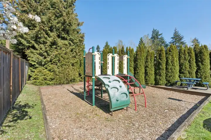 Community Playground