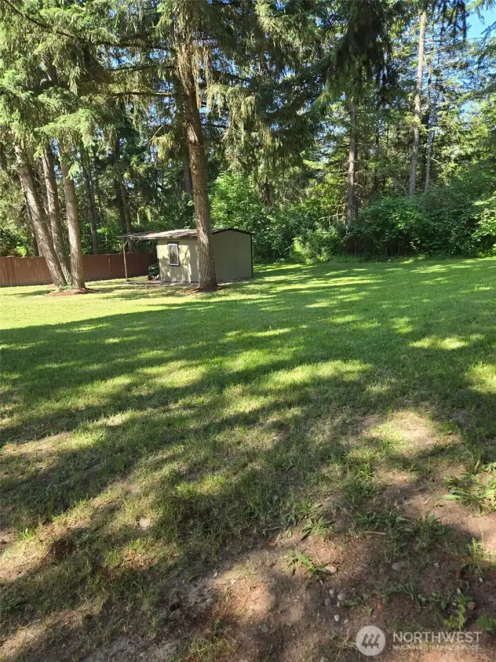 Spacious backyard surrounded by towering evergreens offers both privacy and serenity. Includes a well-maintained storage shed and ample grassy area—perfect for pets, gardening, or a future playset.