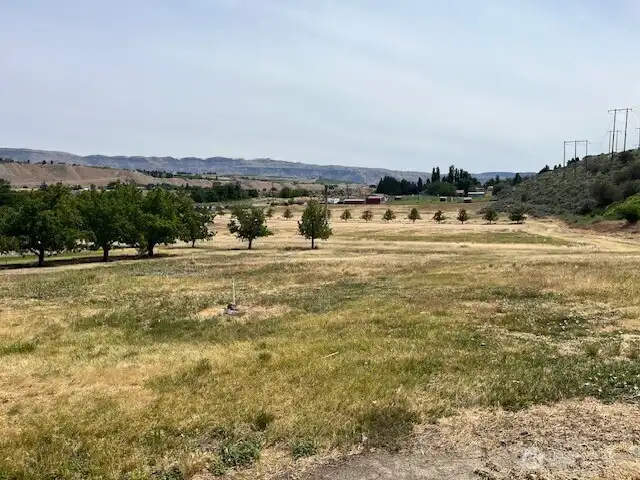 Lower level with trees removed