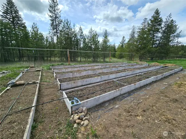 Raised beds with HUGE amounts of water for all things to grow.