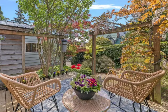 Sun Deck with Mature Landscaping