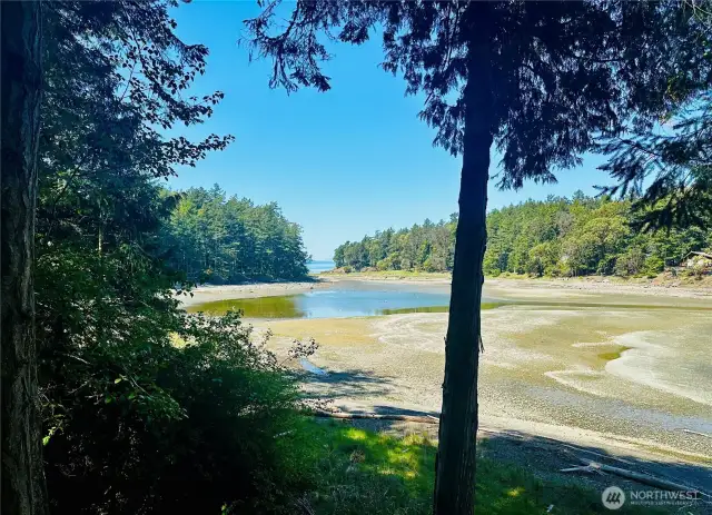 Tide out