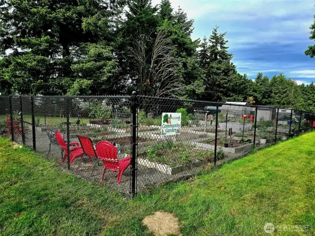 Community garden.