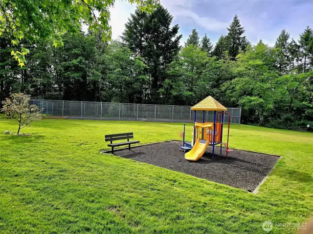 Community play area and athletic court.