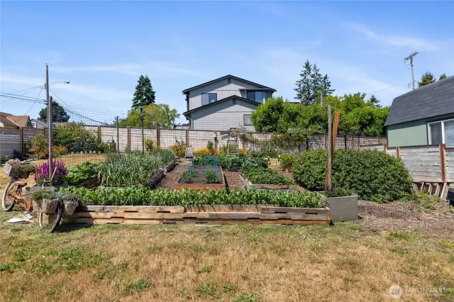 extensive garden space