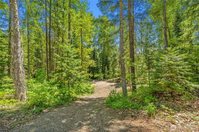 Community green space trail