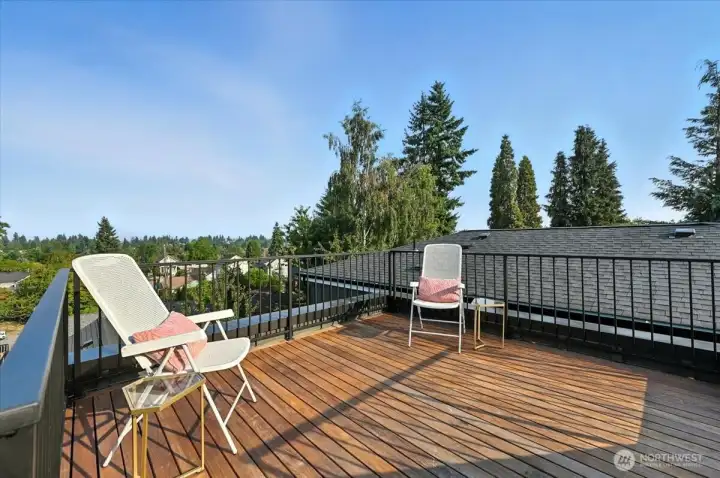 Roof deck looking SE