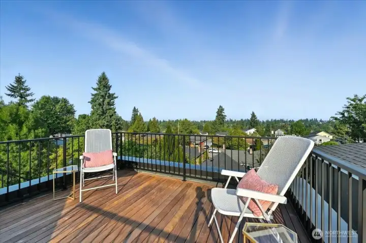 Roof Deck look east towards the Cascades