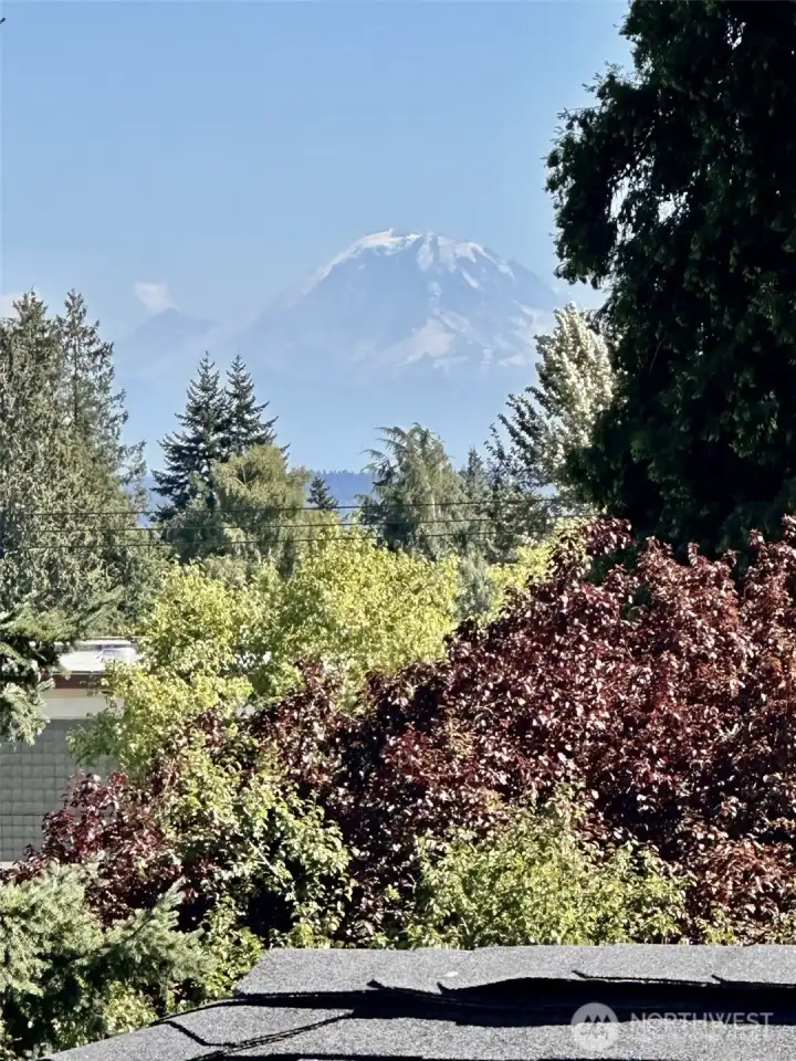 Mount Rainier