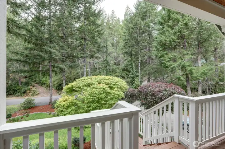 Elevated view from the front porch.